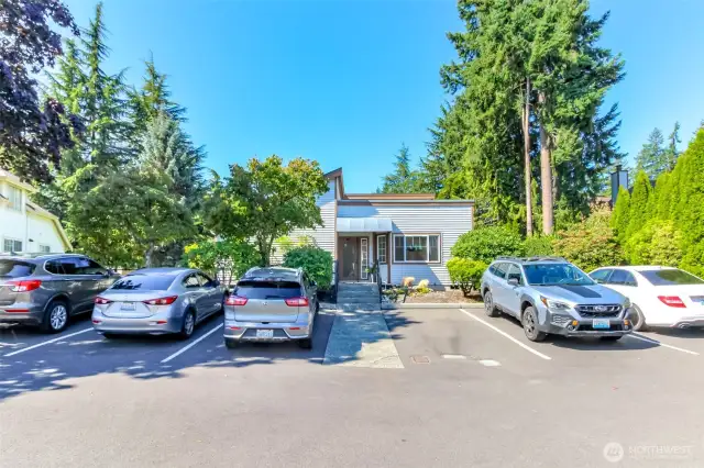 Visitor Parking