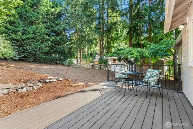 back deck off of the kitchen with newer composite decking