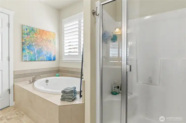 Walk-in shower.