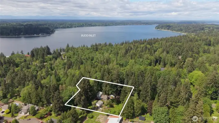 Drone shot outlining the 1.5 acre lot and Budd Inlet is within walking distance.