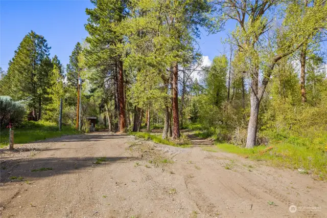 Driveway to the right, pump house to the left. Pump house is top-notch and well insulated.