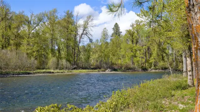 Land across the way is owned by Yakima Nation Fish Resources and booming with wildlife!