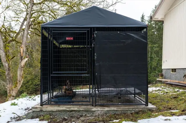 New Dog kennel