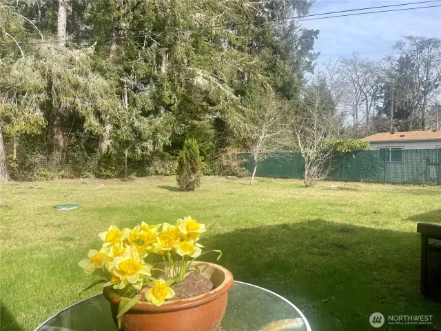 fruit trees and room for a garden