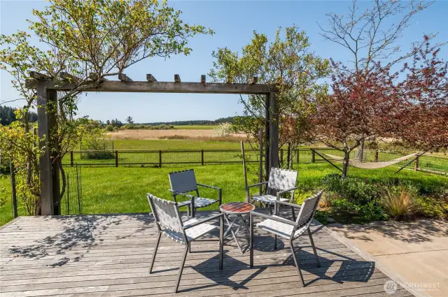 Back deck and west-facing view over wetlands and valley
