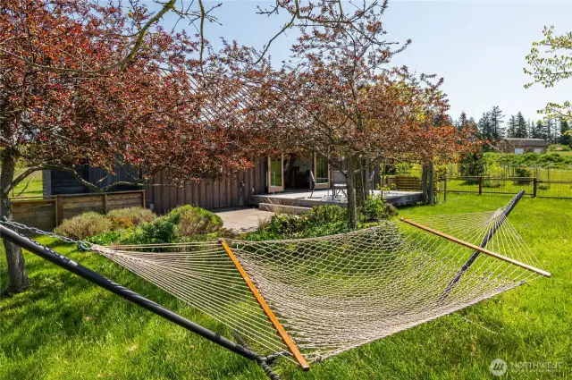 Fenced back garden with perennial drought-hardy plantings