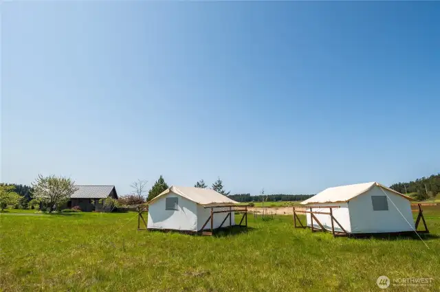 Large Rainier platform tents in the pasture