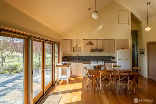 Dining and kitchen area