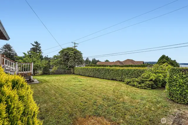 Front yard