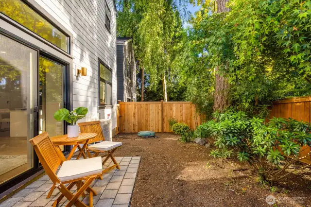 Backyard ready for pets and gardening