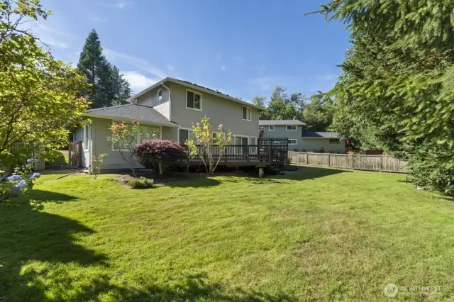 another view from the HUGH back yard