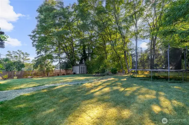 Back yard