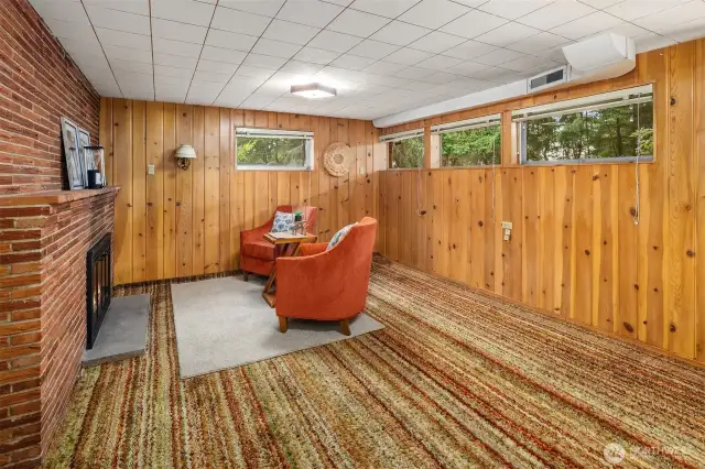Lower Level Rec Room