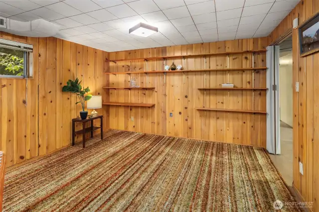 Lower Level Rec Room