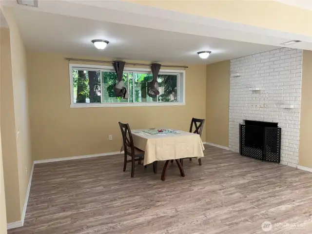Downstairs Family Room