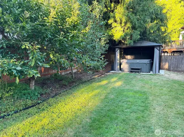 Backyard and Hot Tub
