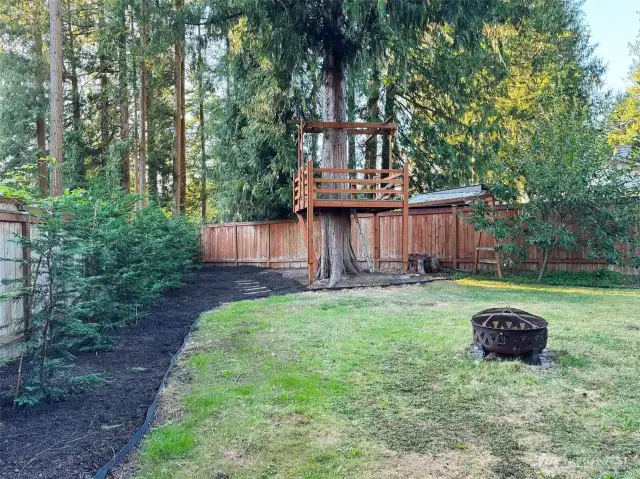 Backyard