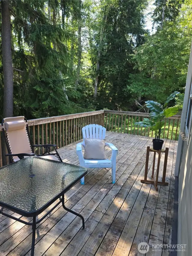 Backyard Wooden Deck