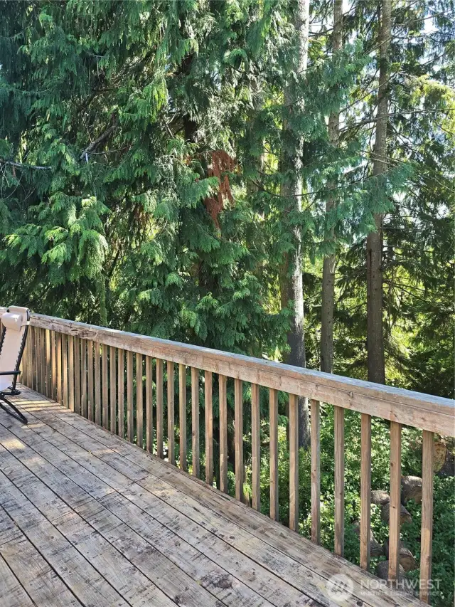 Backyard Wooden Deck