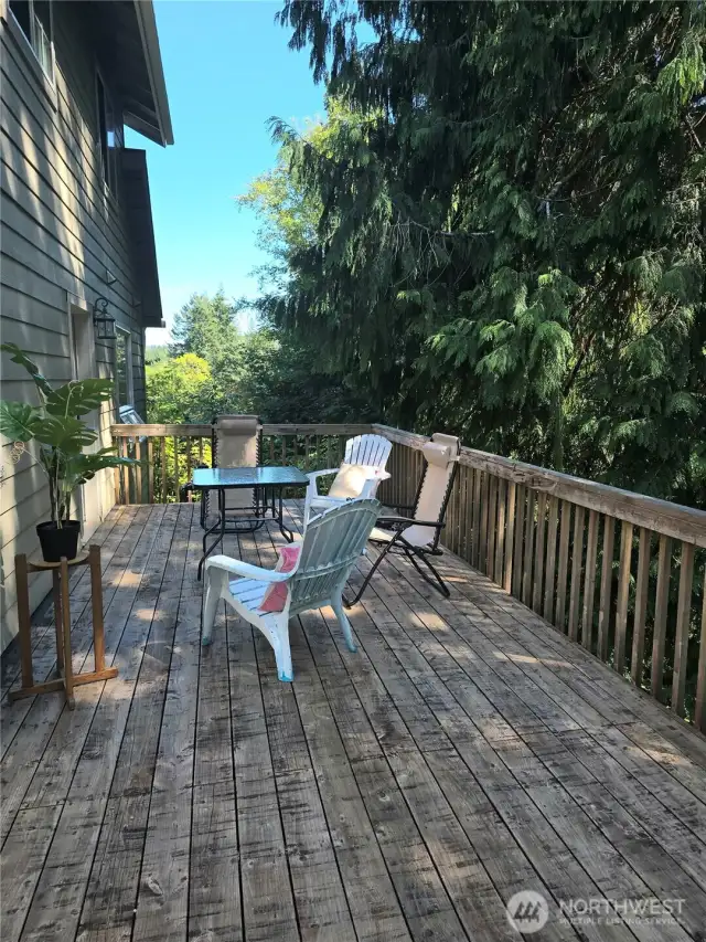 Backyard Wooden Deck