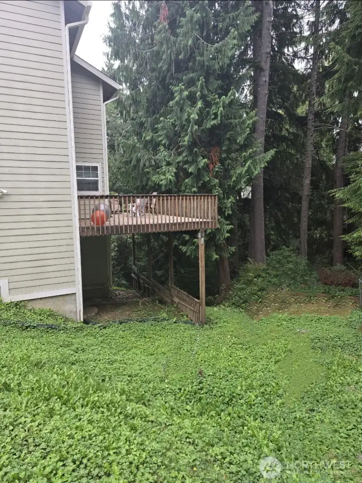 Backyard Wooden Deck