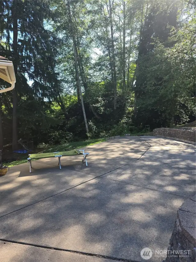 Forest Backyard
