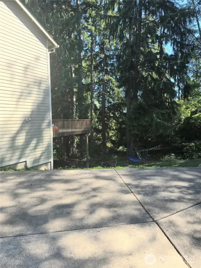 Outside area leading to unfinished daylight basement with separate entrance.