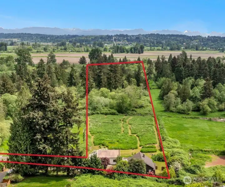 Red property lines are approximate and are not the actual property line.