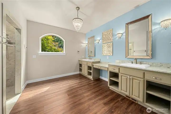 HUGE primary bathroom (pictures in the middle do not convey)