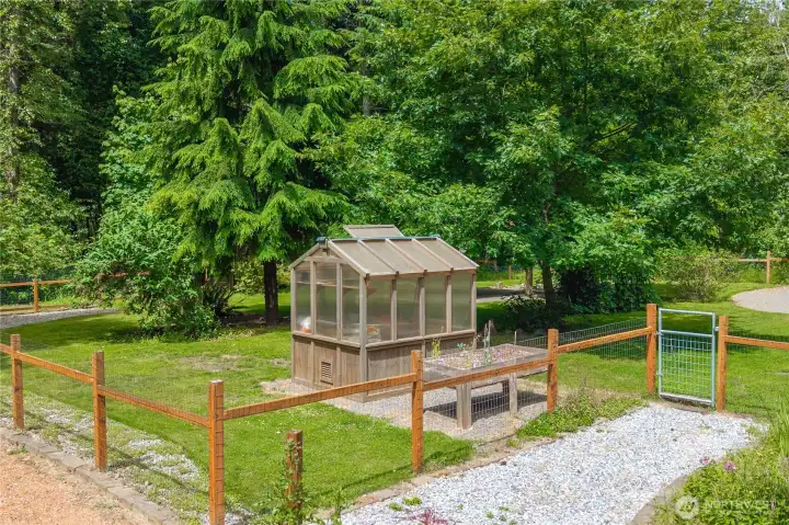 Greenhouse in the backyard