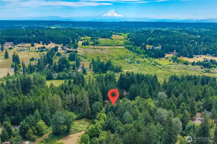 Nestled in the trees