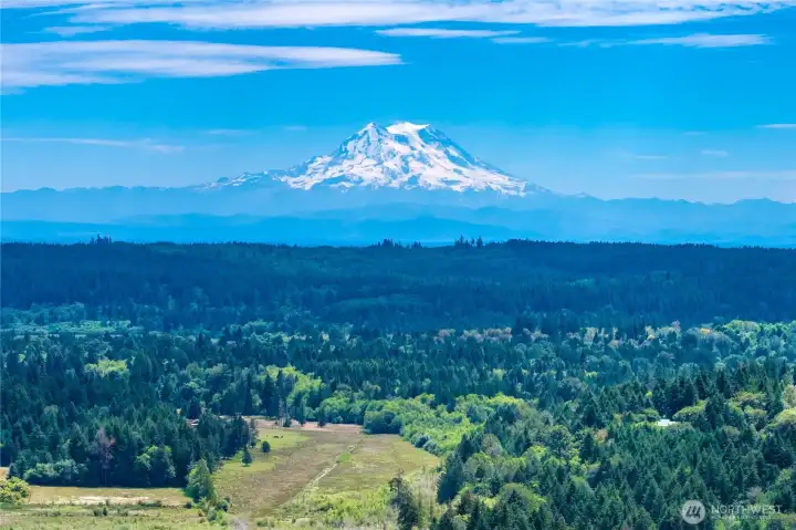 Mountain was out this day!