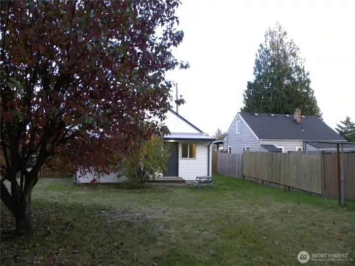 Back Yard 2