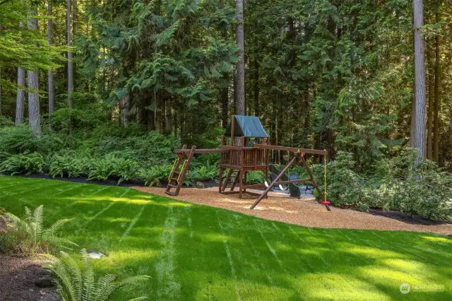 The play structure sits just above the fire-it.