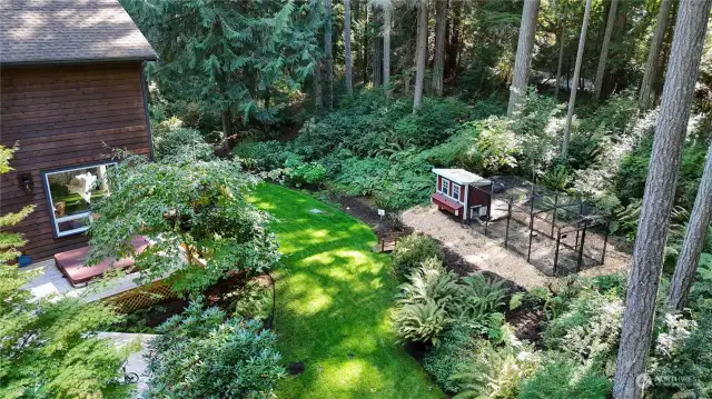 Back and side yard with chicken coop and wooded trails beyond.