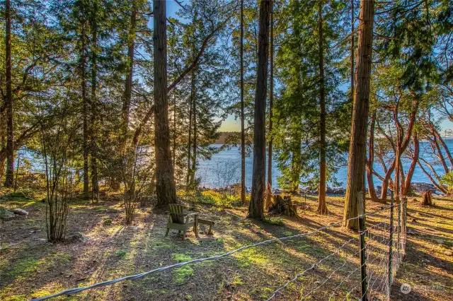 Another view of the vacant lot which is on the south side of the home. Beautiful madrona trees adorn the shore.