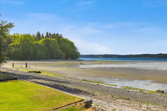 Private Community beach with access to Dumas Bay Sanctuary. At low tide you can walk all the way to Dash Point.