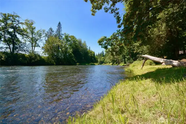 Float the river! paddleboard!