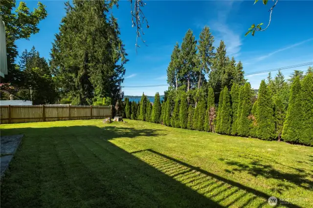 Plenty of yard to enjoy!