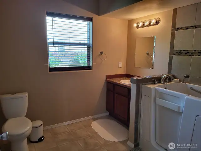 Primary Main Full Bath - Walk-In Tub