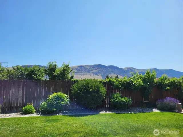 West Side of Yard - View West