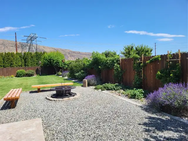 View South - Firepit, Fence, Perennials