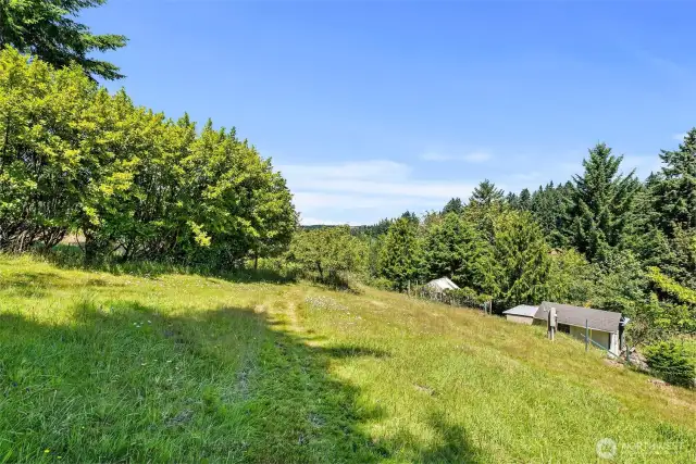 This upper yard area is ideal for outdoor games, quiet moments, or simply soaking in the surroundings.