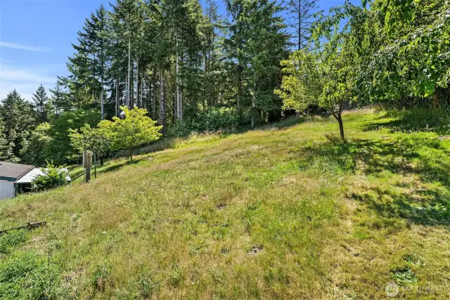 Cherry and crabapple trees grace the hillside, leaving room to grow your own garden or create a peaceful retreat.