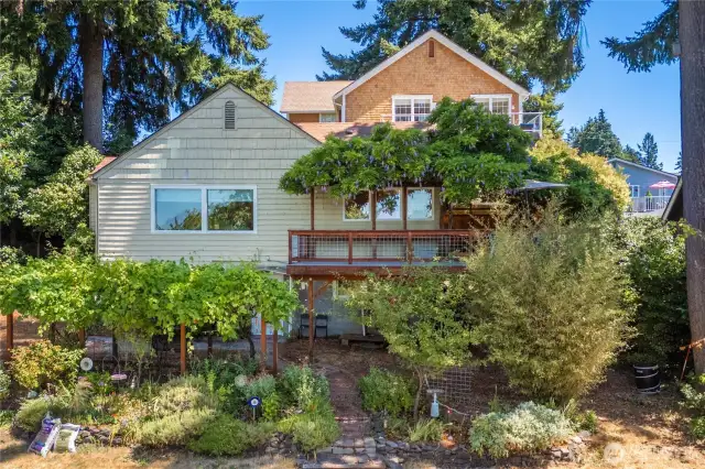 Welcome to 1001 Yew Ave NE, Olympia