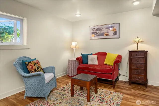 Downstairs family room area.