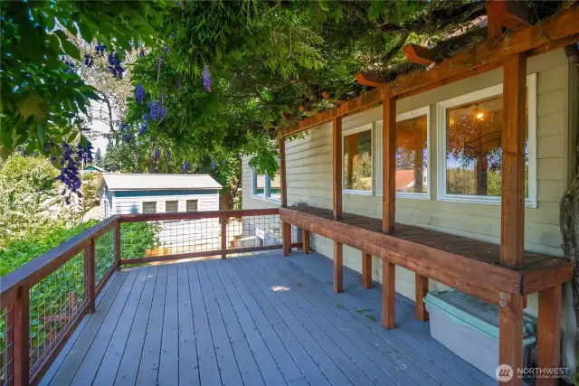 Deck - side area.