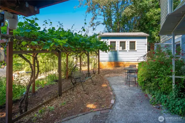Front yard area.