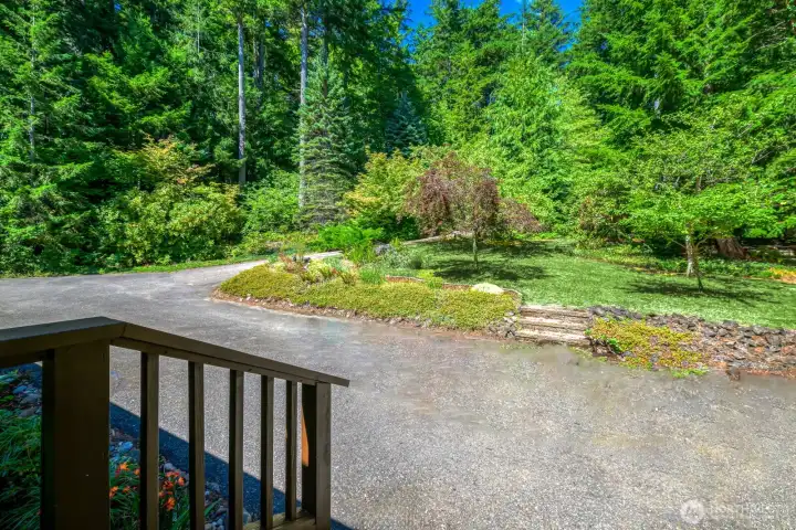 Front yard with fruit trees