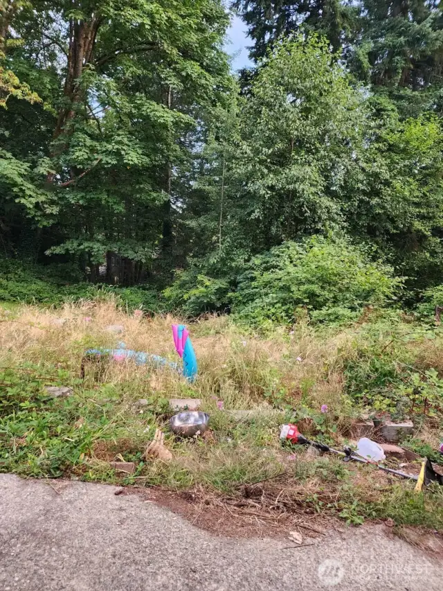front yard
